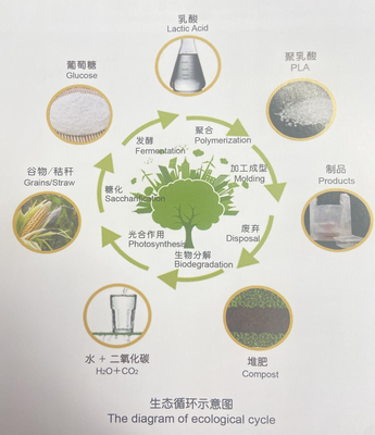 细节拉满！冬奥餐盘竟是酸奶“亲戚”，揭秘“可降解”背后的生态环境材料黑科技