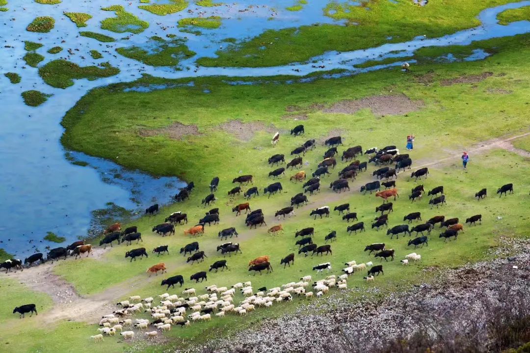 云南四地喜获生态新誉，绿色明珠再添华彩