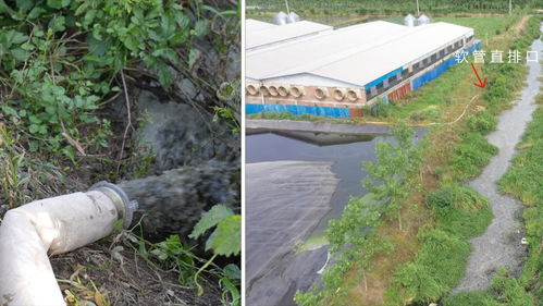 新华视点聚焦中央生态环保督察 洪湖水质持续恶化再被点名 凸显生态环境治理紧迫性