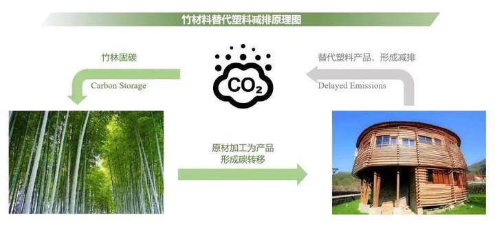丽水发布竹材料替代项目碳减排量核算地方标准，推动生态环境材料发展